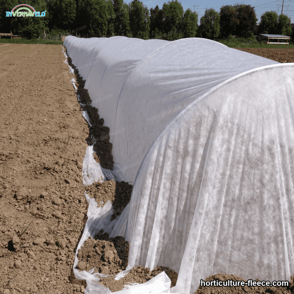 Thermal blanket installed for protect crops