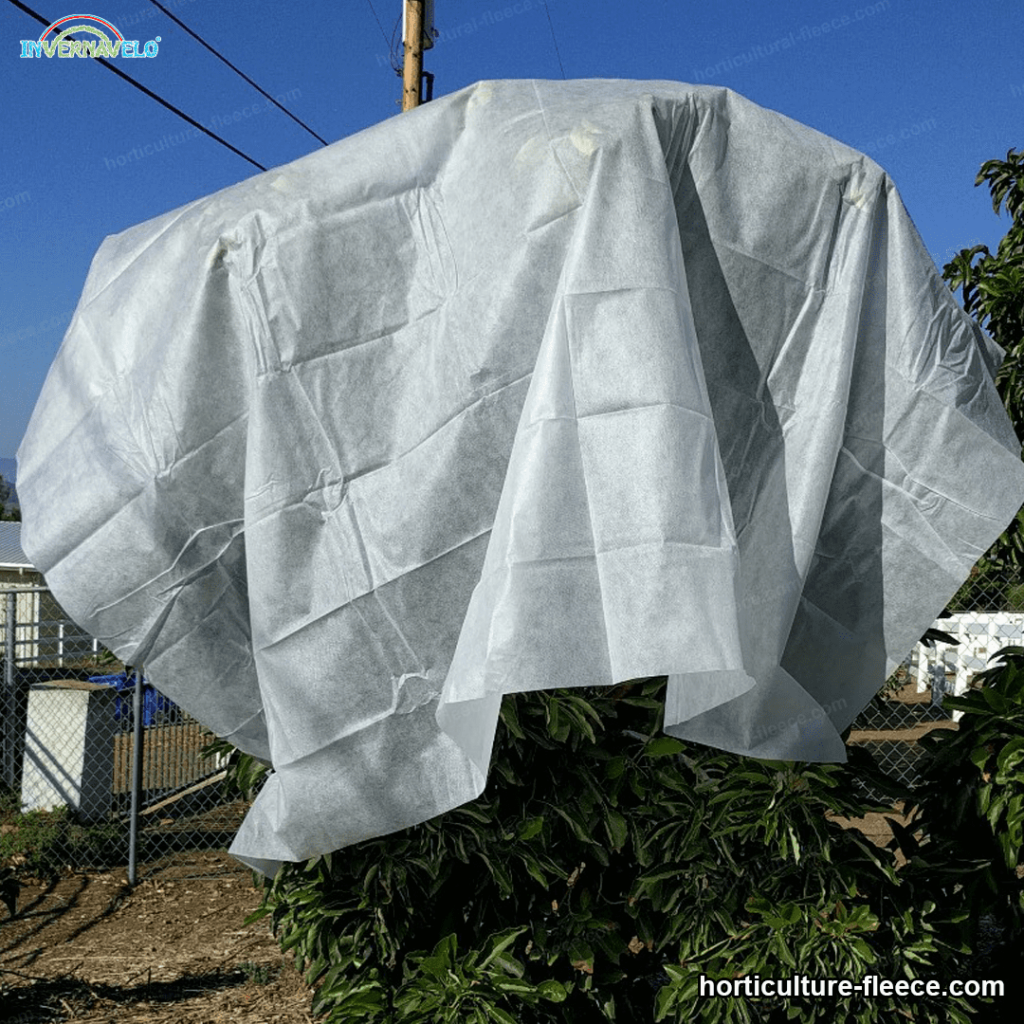 Horticultural blanket cover a tree
