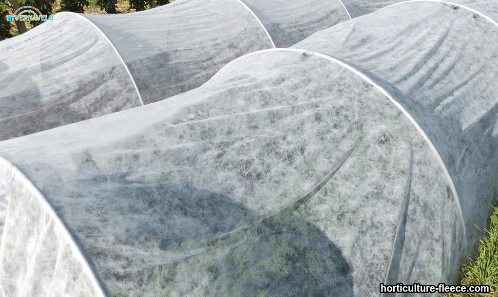 Frost blanket protecting crops from the cold weather