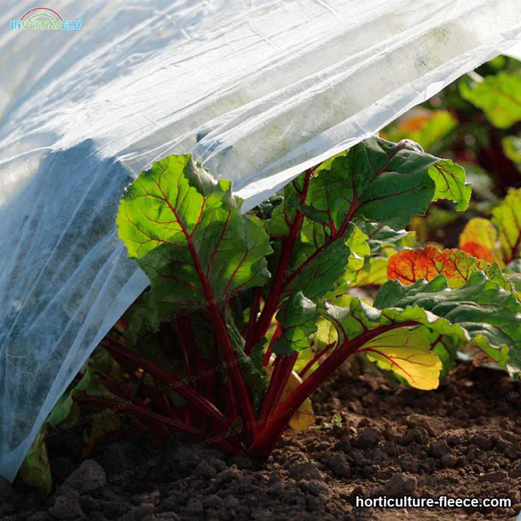 horticultural blankets covering plants