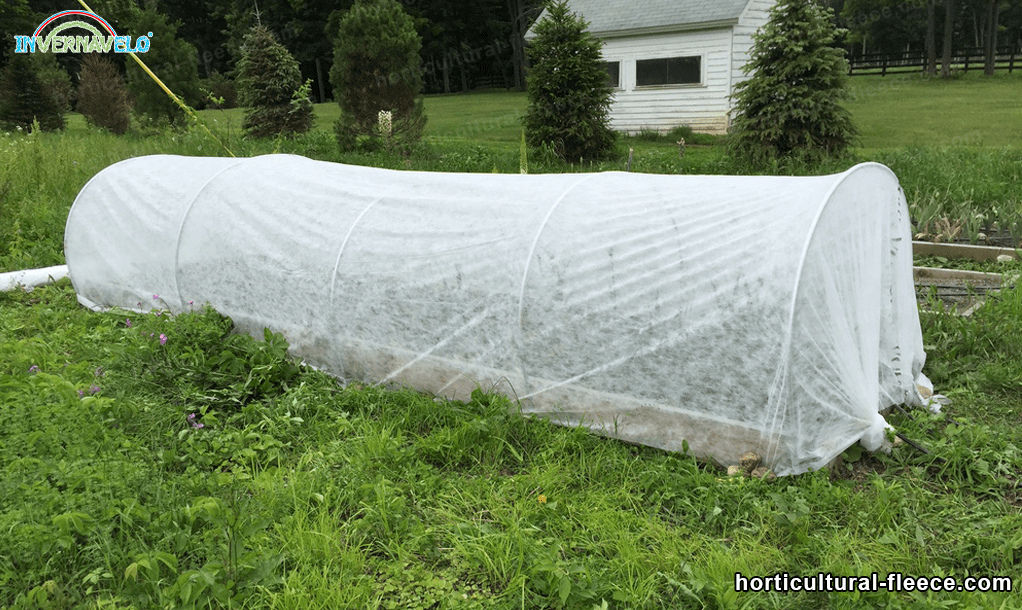 microtunnel made of thermal blanket in a garden