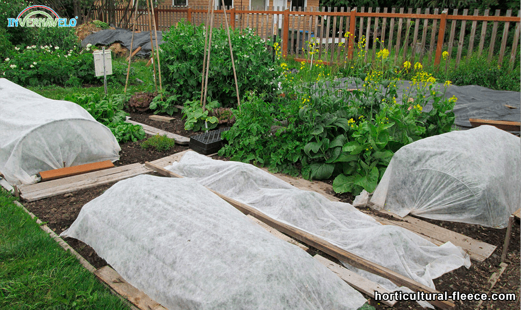 The horticultural fleece is also extremely useful tool in a garden
